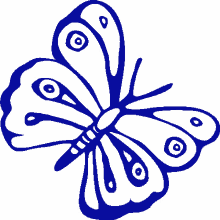 butterfly cyprus