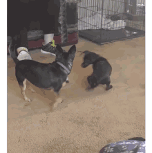 Dogfight GIF - Dogfight GIFs