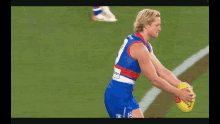 Western Bulldogs Afl GIF - Western Bulldogs Afl Sons Of The West GIFs