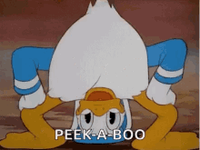 Donald Duck Peek A Boo GIF - Donald Duck Peek A Boo Disney GIFs