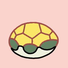 kachhuaa turtle