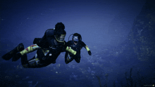 Buceo GIF - Buceo GIFs
