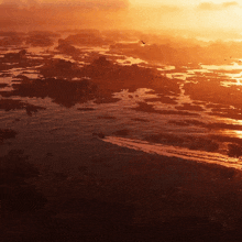 a sunset over a body of water with birds flying over it