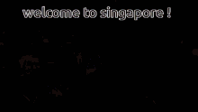 Welcome To Singapore Friends GIF - Welcome To Singapore Friends Fun GIFs