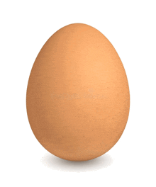 a brown egg is sitting on a white background