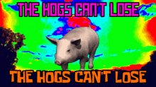 Feral Hog Hogs Can'T Lose GIF - Feral Hog Hogs Can'T Lose Feral Hogs GIFs