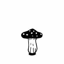amanita mushroom little plants girl mini