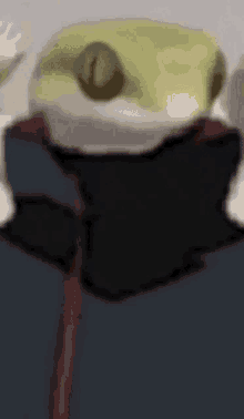 a close up of a frog wearing a black shirt and holding a stick .