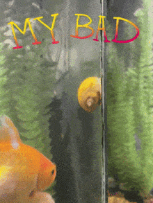 a picture of a fish tank with the word my bad written on it