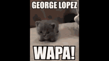 George Lopez GIF - George Lopez George Lopez GIFs