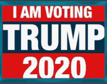 Trump 2020 GIF - Trump 2020 Voting GIFs