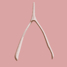 Wishbone GIF - Wishbone GIFs