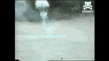 Dog Is Now Armed GIF - Dogs Fireworks Fetch GIFs