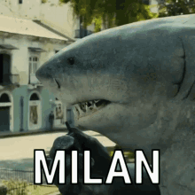 Milan Milano GIF - Milan Milano Kilan GIFs
