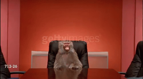Baba Monkey GIF - Baba Monkey Meme - Discover & Share GIFs
