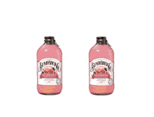 Cheers Bundaberg GIF - Cheers Bundaberg Pink Grapefruit GIFs