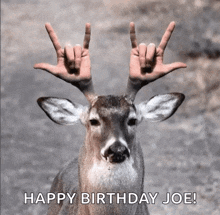 a deer is making a i love you sign with its hands on its antlers