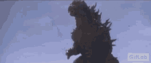 Godzilla Godzilla Vs Megaguirus GIF