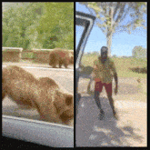 a bear is looking out of a car window
