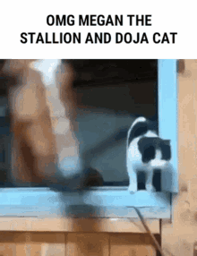 Megan Thee Stallion Doja Cat GIF