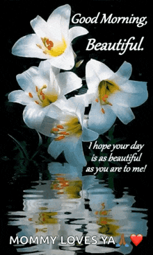 a greeting card with flowers and the words good morning beautiful