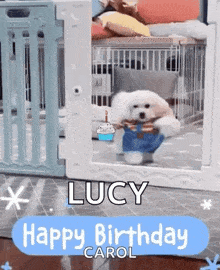 a small white dog is standing in a cage holding a cupcake and a birthday cake .