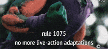 Rule 1075 Adaptations GIF - Rule 1075 1075 Rule GIFs
