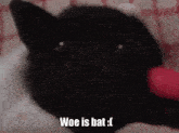 a black bat is laying on a bed with a red object in its mouth and says woe is bat .
