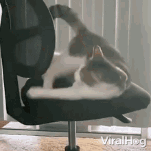 Falling Down From A Chair Viralhog GIF