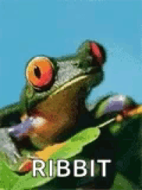 Frog Ribbit GIF - Frog Ribbit Smiling - Discover & Share GIFs