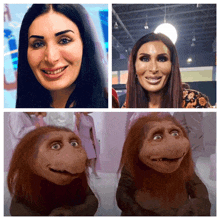 a collage of images shows a woman and a monkey