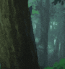 a tree trunk in the middle of a forest with a blurred background
