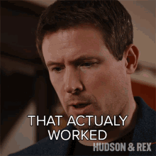 That Actually Worked Charlie Hudson GIF - That Actually Worked Charlie Hudson Hudson And Rex GIFs