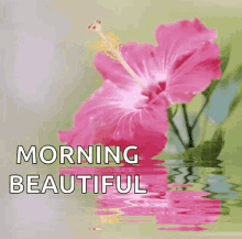 Morning Good Morning GIF - Morning Good Morning Beautiful GIFs