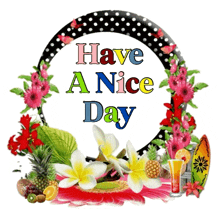 Haveaniceday Have A Nice Day GIF