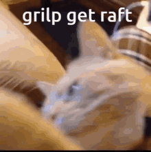Grilp Raft GIF - Grilp Raft Gaming GIFs