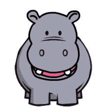 hippo hippopotamus hippo mouth