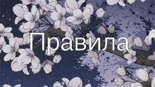 a picture of a tree with flowers and the word " pravila " in white letters