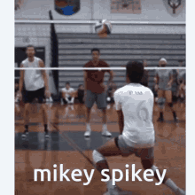 Mikey Spikey Mikey Spikey Volleyball GIF - Mikey Spikey Mikey Spikey Volleyball Michael Zammit GIFs