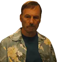 a man wearing a blue shirt and a hawaiian shirt