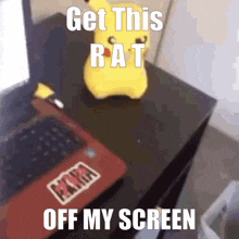 Gcsmash Get This Rat Off My Screen GIF