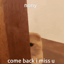Nony Cat GIF - Nony Cat Miss You GIFs
