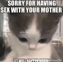 Your Mother Sex GIF - Your Mother Sex Your Mom GIFs