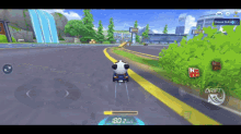 kart rider kart panda gaming video game