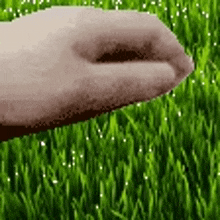 Grass Touch Grass GIF - Grass Touch Grass Kingsammelot GIFs