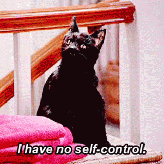 no self control meme