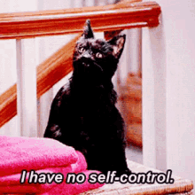 I Have No Self-control GIF - Salem Cat Self Control GIFs