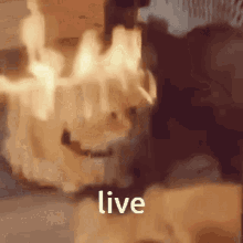 Live Firecat GIF - Live Firecat Firepunch GIFs