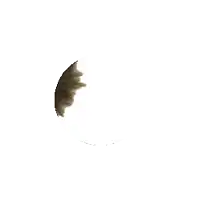 a close up of a man 's face with a circle around it