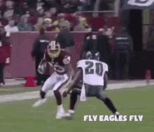 Fly Eagles GIF - Fly Eagles Superbowl GIFs